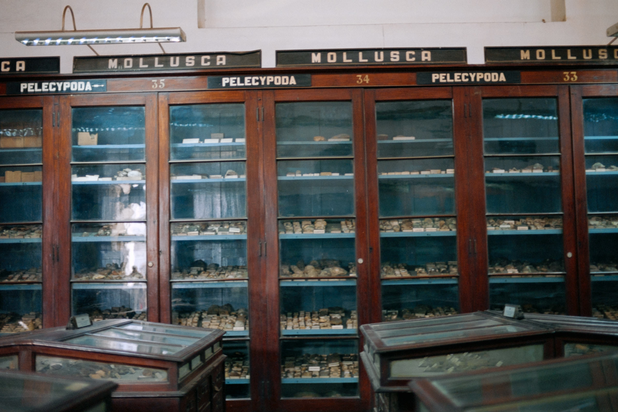 AHP film 2005 01 001 sc240825 img33 NLP